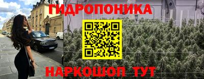 стаф Шебекино