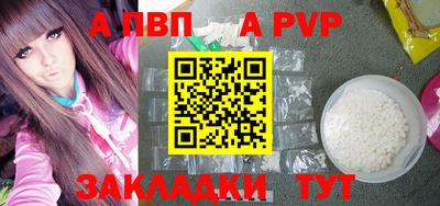 стаф Шебекино