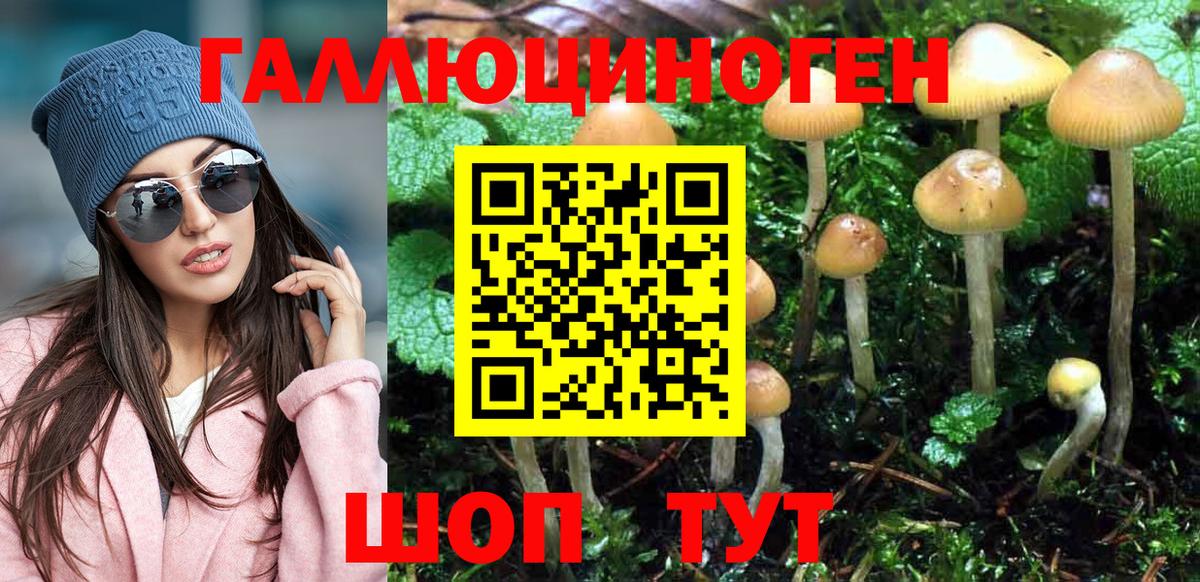 Галлюциногенные грибы Cubensis  Вход с VPN  Галлюциногенные грибы GOLDEN TEACHER  Северск 